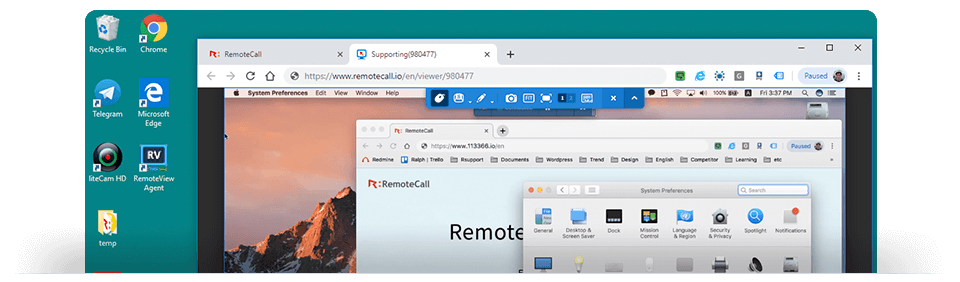 RemoteCall WebViewer