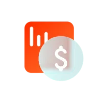 Financial Service Provider